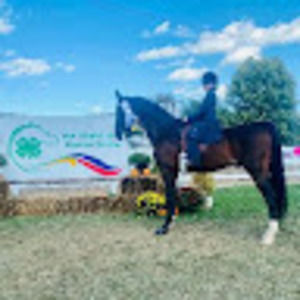 Meet your Posher, Lexi